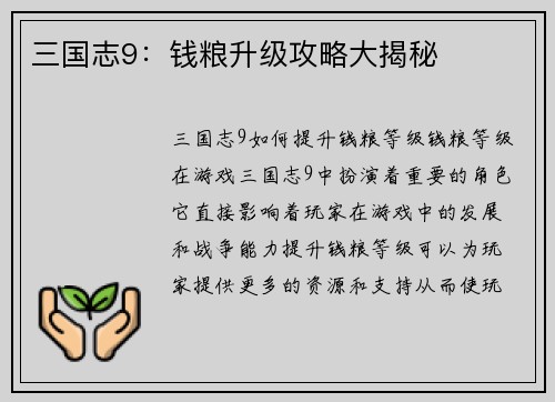 三国志9：钱粮升级攻略大揭秘